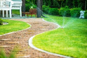 low-maintenance-yard